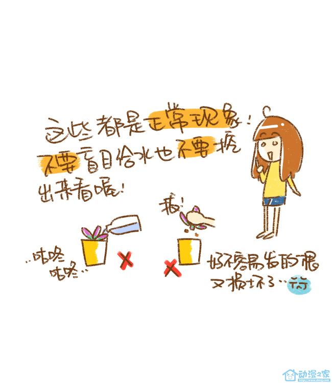 发根篇 第11页